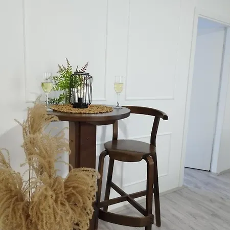 Sami Apartment Nis
