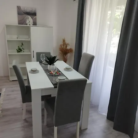 Apartment Sami Nis